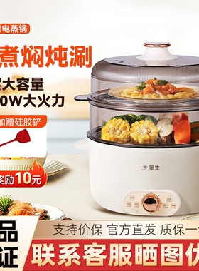 华生电蒸锅多功能家用上蒸下煮多