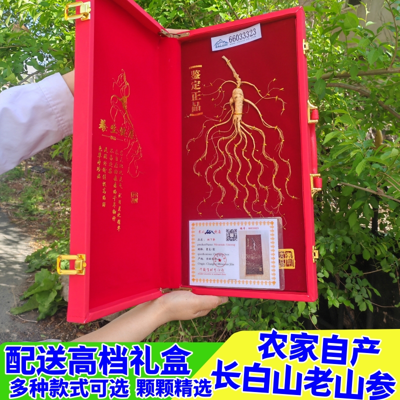 东北特产山参人参移山参林下参高档单支人参礼盒手提袋泡酒送礼