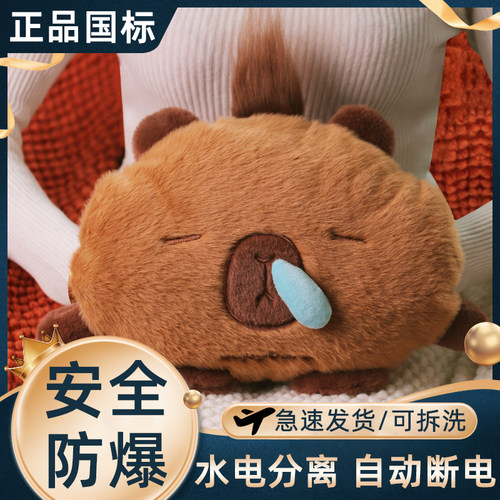 安全防爆充电热水袋可爱立体毛绒