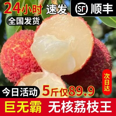 荔枝王巨无霸火山口当季现摘