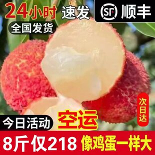 海南荔枝王新鲜巨无火山口现摘现发无核孕妇整箱大果特大无籽霸