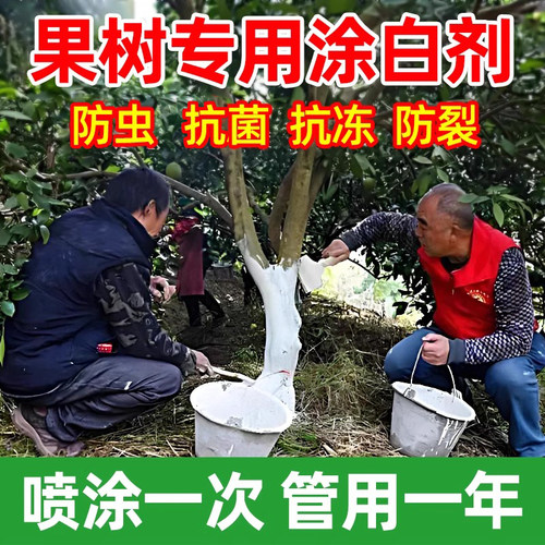 树干涂白剂果树防虫防冻