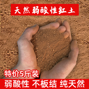 天然红土茉莉红泥土小颗粒营养土桂花杜鹃养龟专用酸性红壤基质