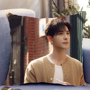 陈星旭周边双面抱枕轧戏肖稚宇秦宵一带枕芯靠枕靠垫礼物可定制
