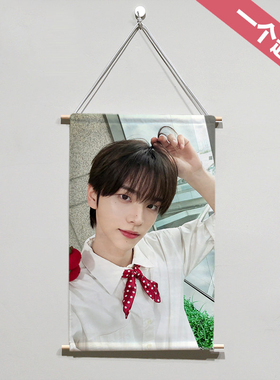 TWS申惟SHINYU布艺现代装饰挂画来图定制照片海报装饰卷轴手办DIY