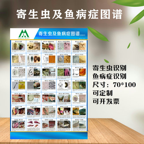水产养殖寄生虫鱼病高清图谱定制