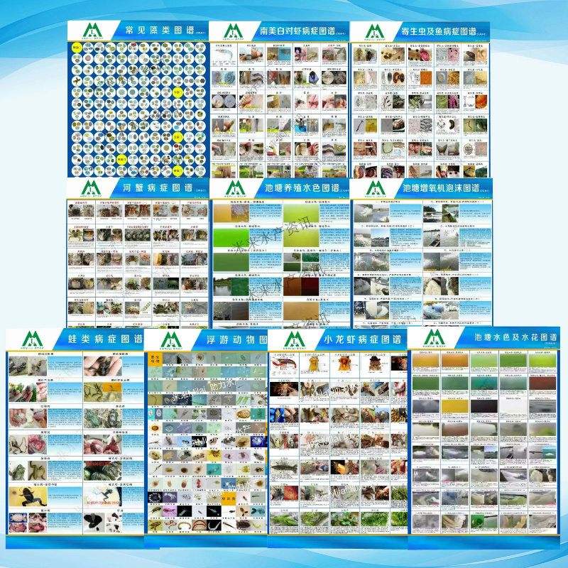 米来藻类南美白对虾寄生虫鱼病河蟹病症池塘水色增氧机泡沫图谱,畜牧/养殖物资,渔业用具,淘宝优惠券,粉丝福利购,淘宝优惠卷