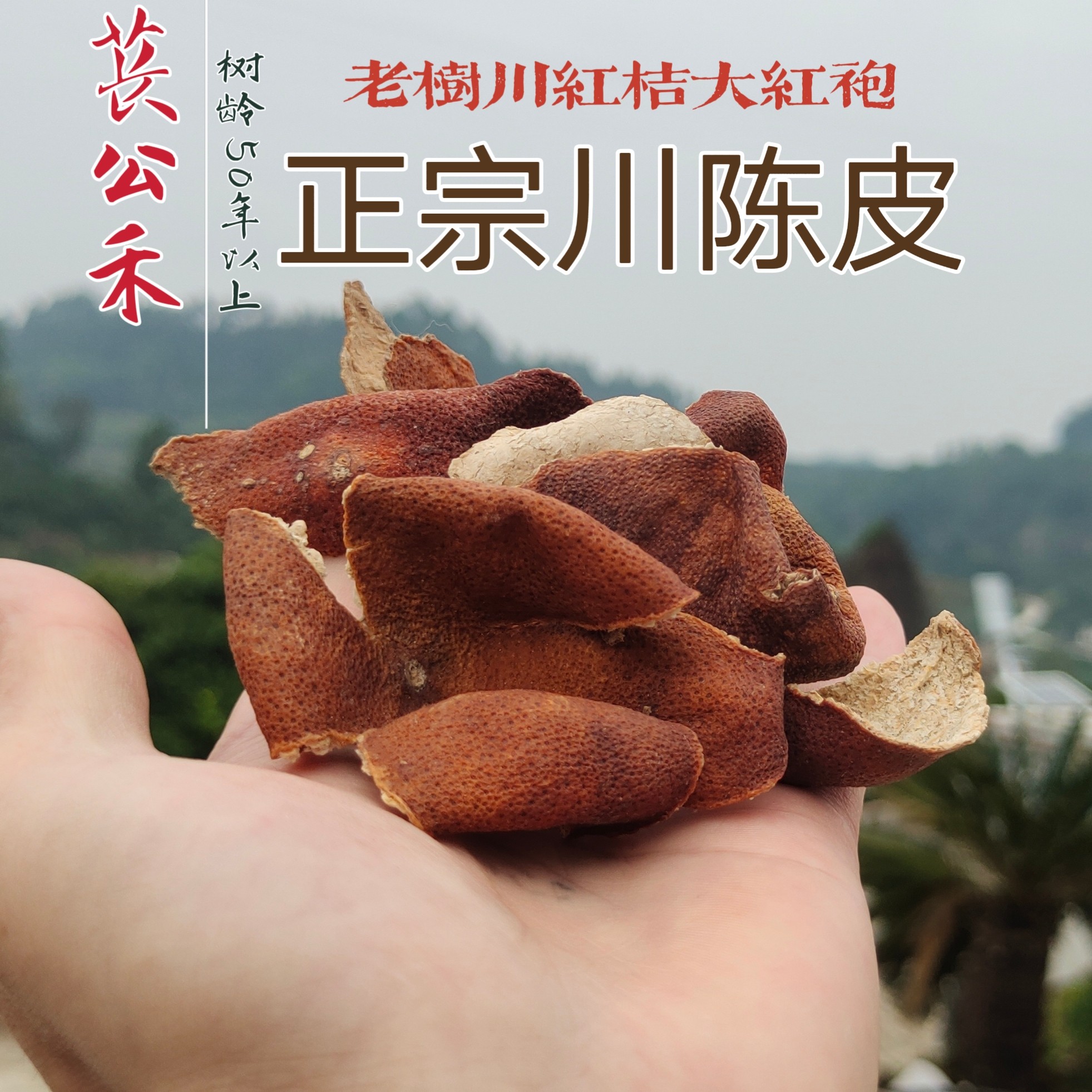 正宗川陈皮古书记载高品质川红桔大红袍老树川陈皮陈化泡水老香料