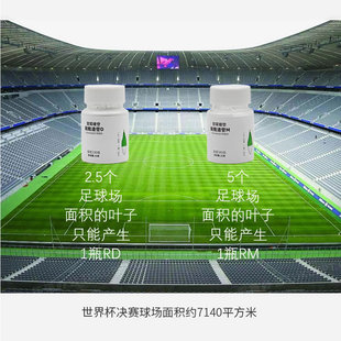 高端稀有甜菊糖纯RDRM苷零卡糖100%甜叶菊提取物甜味剂0卡25g