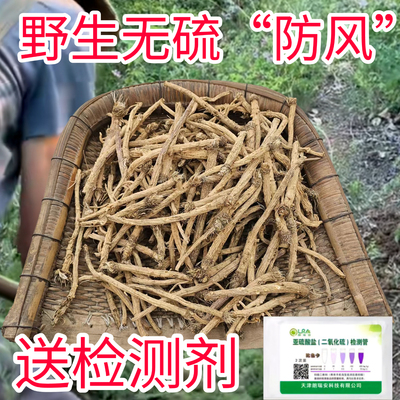 太行山脉纯野生防风中药材正宗北防风整根无硫熏关防风中药材整条