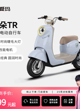 【合肥专区门店自提】爱玛爱朵TR电动车48V铅酸电动自行车