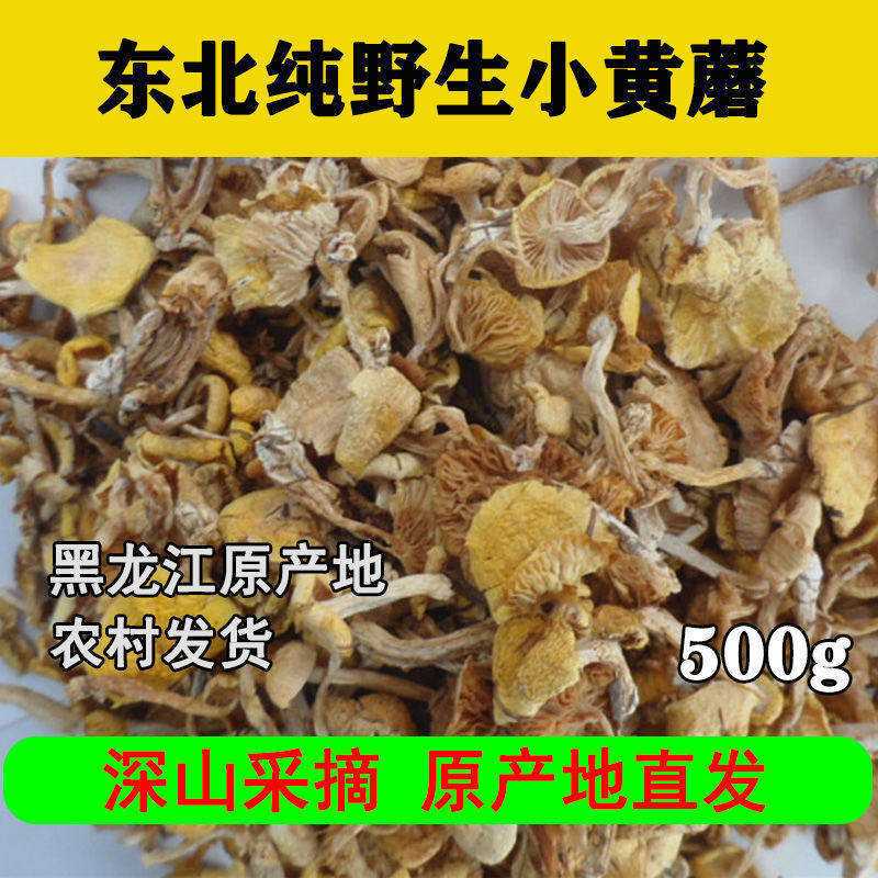 东北黑龙江野生小黄蘑菇干货干松蘑不是养殖滑子菇小鸡炖蘑香菇