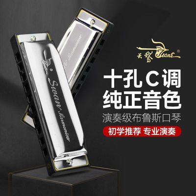 Silver 10 hole C-key blues harmonica beginner's instrument