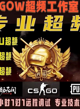 CPU内存超频调试服务绝地求生PUBG永劫三角洲优化提升性能帧数