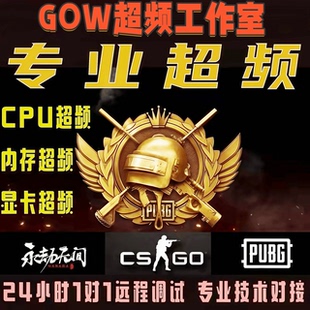 CPU内存超频调试服务绝地求生PUBG永劫三角洲优化提升性能帧数