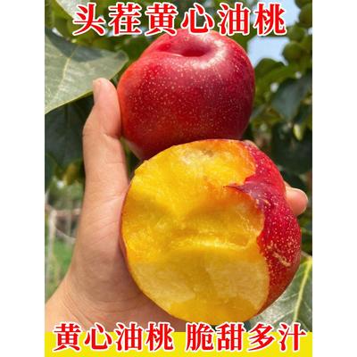 桃子新鲜山东麻点黄心油桃孕妇水果现摘现发整箱当季蜜桃黄桃脆桃