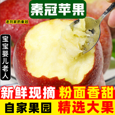 粉面沙甜苹果陕西秦冠5斤婴儿宝宝老人小孩刮泥新鲜水果整箱当季