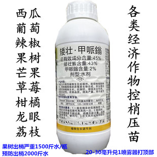 控梢矮壮甲哌鎓控梢压苗抑制顶端优势抑制徒长西瓜果树柑桔宇花