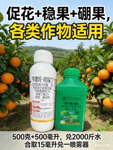 赤霉酸+苄嘌呤吲哚丁促花保果膨果拉长膨大稳果降低果调节剂脐橙