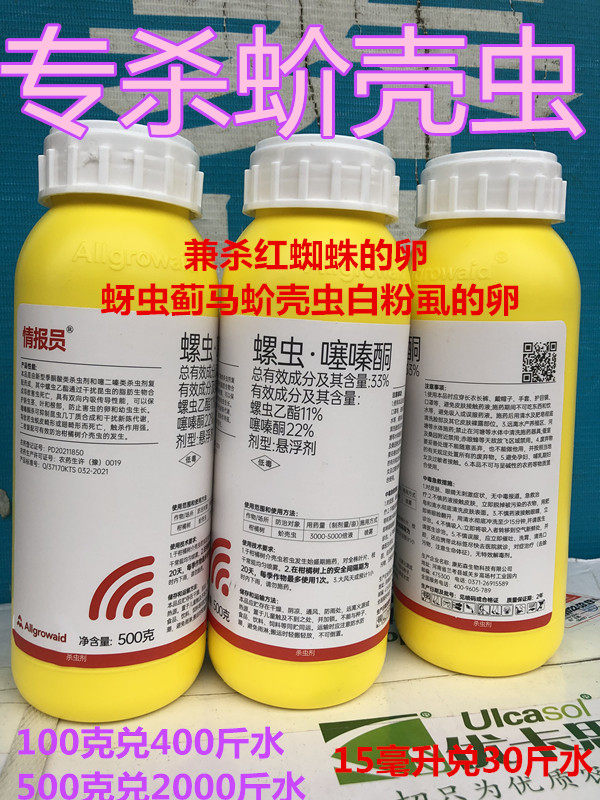 柑橘螺虫乙酯蚧壳虫内吸传导
