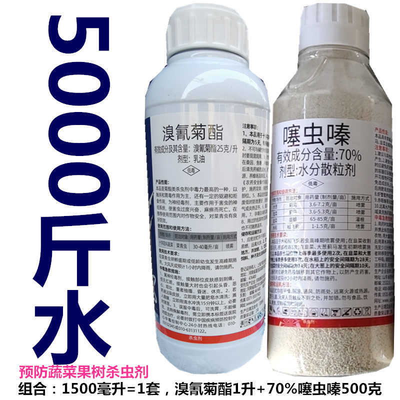 番石榴药果树杀虫蓟马蚜虫白粉虱