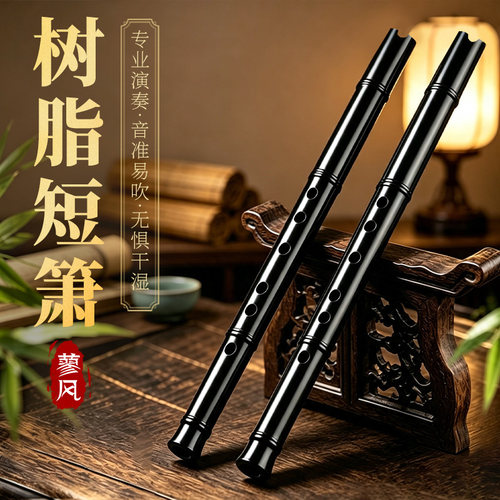 树脂洞箫6孔短笛初学入门萧笛