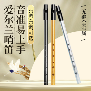 爱尔兰哨笛C调D调小学生专用六孔直笛儿童专业演奏高低音笛子竖笛