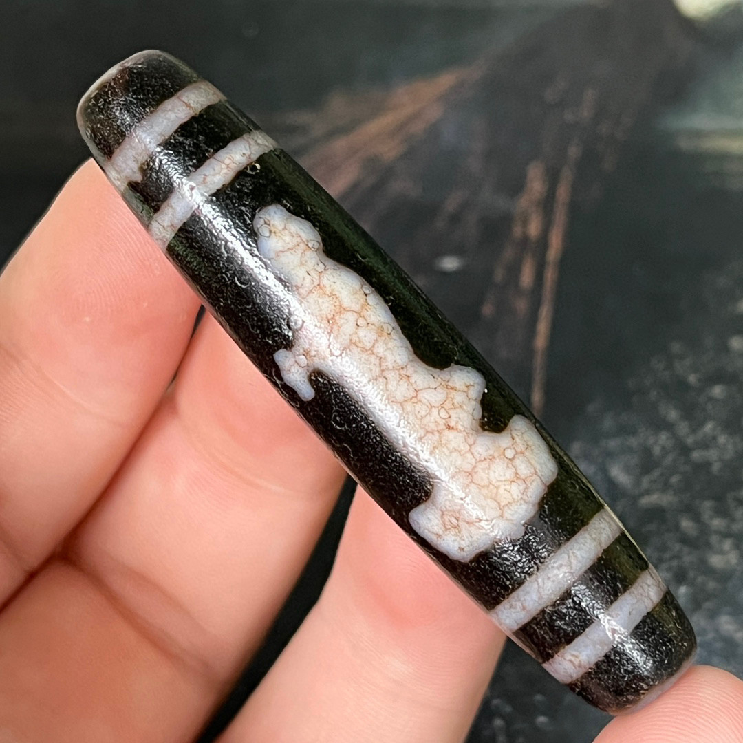 藏传高油包浆龙鳞凤血观音虎牙 DIY配件