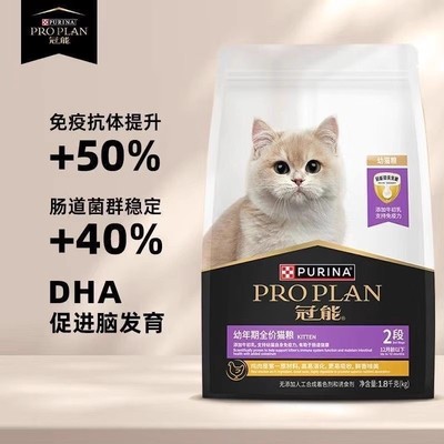 冠能幼猫热销英短通用型