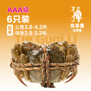 活蟹 家庭简装 铁拐狸系列6只装 母蟹3两 大闸蟹 公蟹4两