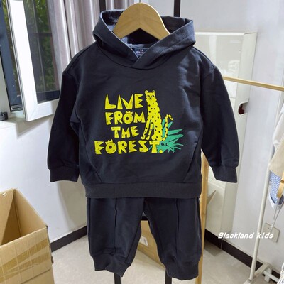 宝宝纯棉帽衫卫衣休闲长裤运动套