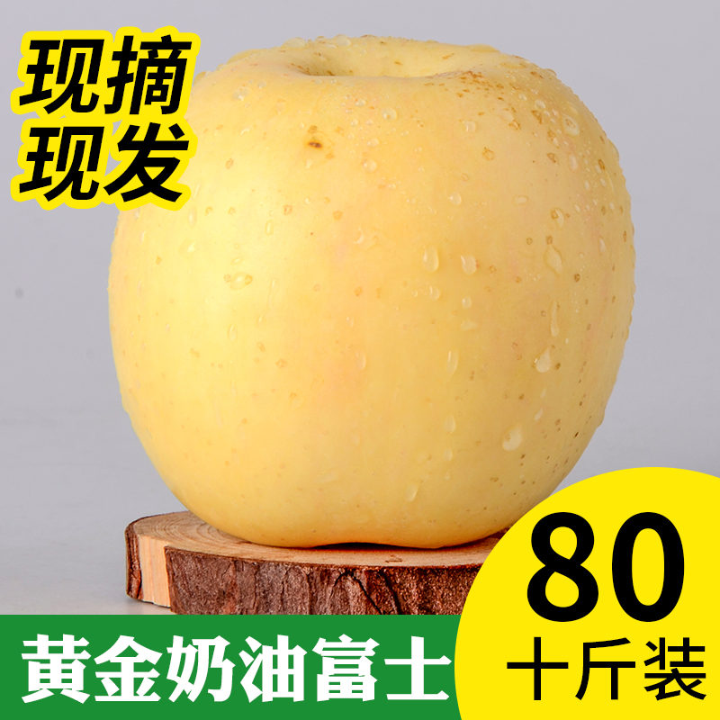 山东烟台栖霞苹果新鲜水果奶油脆甜黄金富士苹果10斤包邮现摘现发