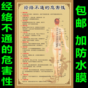 包邮养生馆中医经络不通的危害性艾灸拔罐刮痧人体穴位图海报挂图