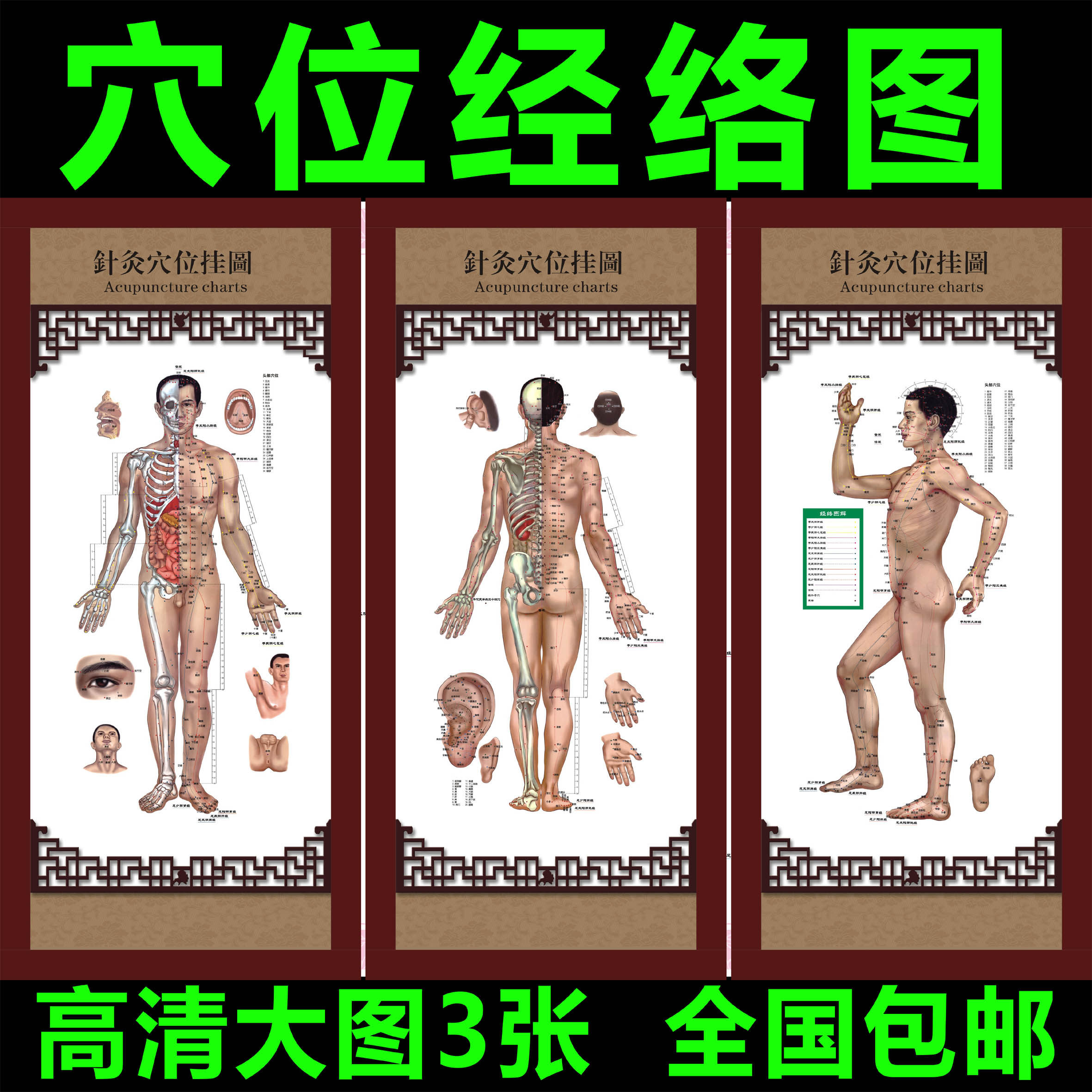 针灸艾灸人体经络穴位图大挂图足底全套中医美容养生保健按摩海报