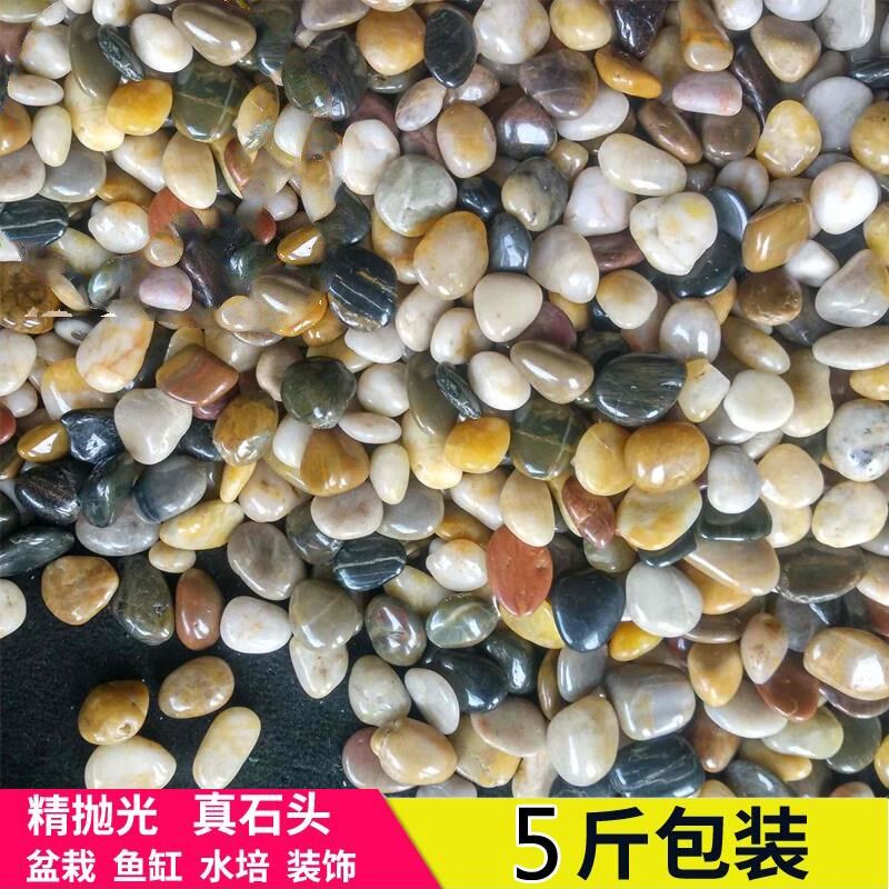 natural Pebble Architecture decorate Landscaping Park Paving Man-made Lake transformer Pebble base fillerin the Flower delivery/Flowers simulation/Plants gardening , Gardening supplies , Other Garden Supplies  category - from Buy2taobao.com to provide professional Taobao agent buy service