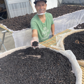 九蒸九晒黑芝麻古法炮制烧柴火瓦缸蒸制高品质即食油麻熟芝麻