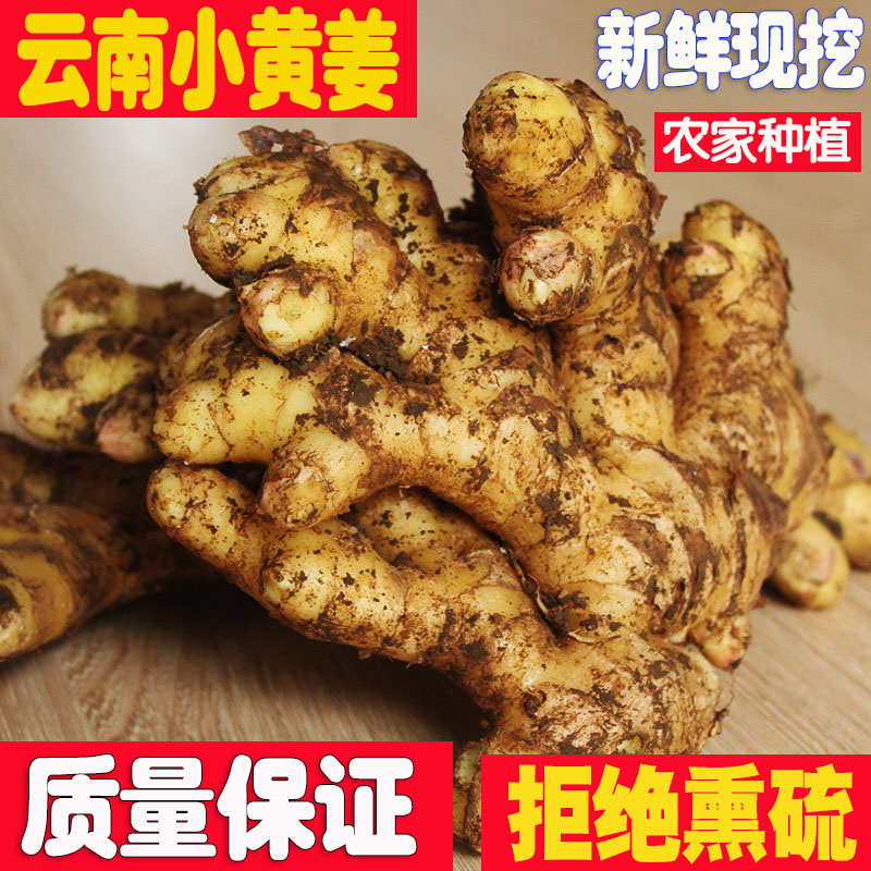 正宗云南小黄姜新鲜现挖1斤包邮