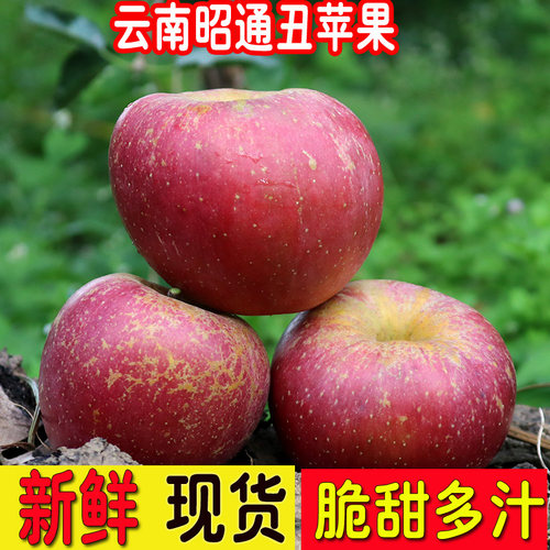 云南昭通丑苹果大果新鲜现摘包邮