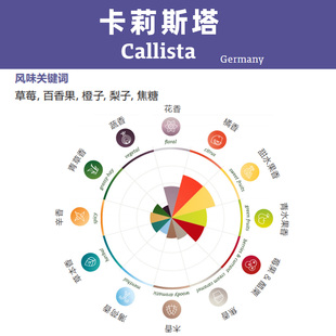 卡莉斯塔Callista 德国哈拉道香花新鲜上市 巴特哈斯颗粒啤酒花