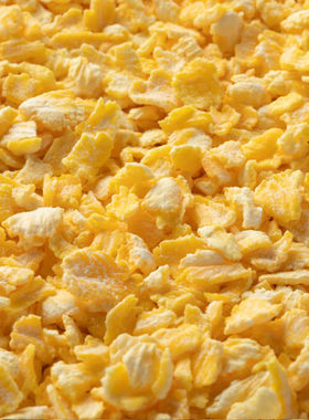 玉米片 清爽啤酒/冷IPA酿酒专用辅料 Brewers Yellow Corn Flakes