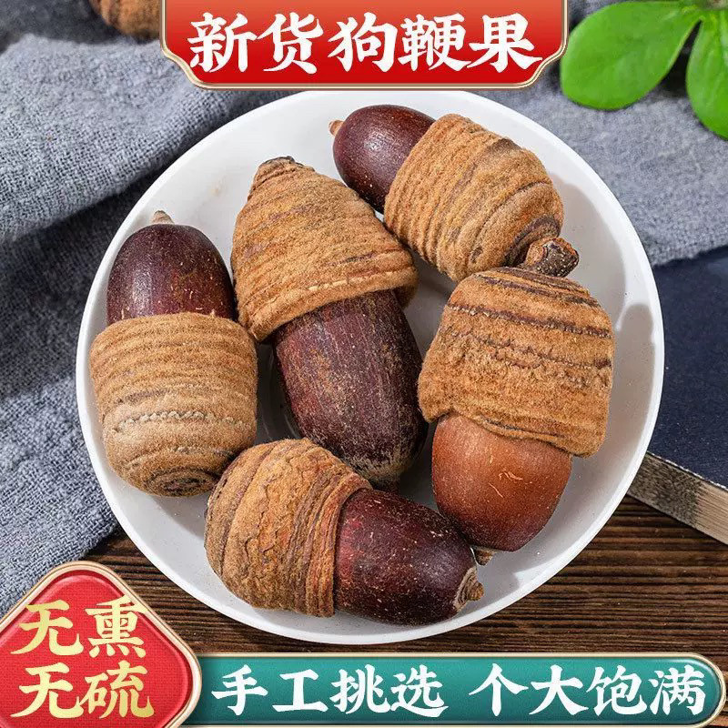 云南野生狗鞭果毛毛果风流虎鞭果