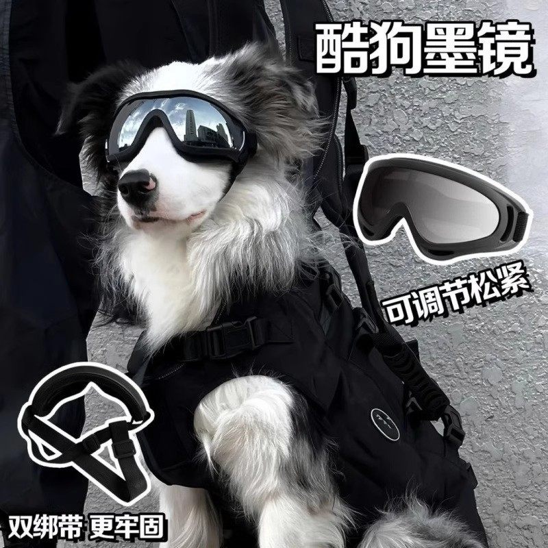 新款宠物眼镜狗狗防风太阳镜狗狗护目镜泰迪法斗柯基狗狗墨镜,宠物/宠物食品及用品,宠物眼镜/护目镜,淘宝优惠券,粉丝福利购,淘宝优惠卷