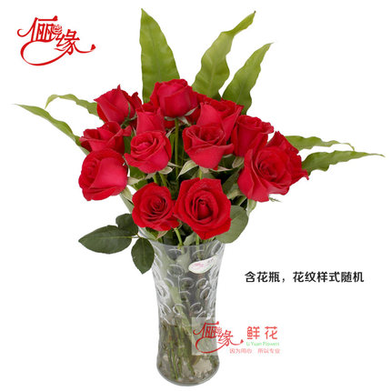 玫瑰花鲜花花束瓶插花卡罗拉戴安娜家庭宾馆花苏州同城速配鲜花