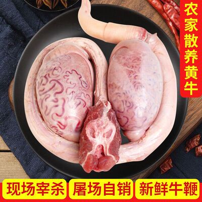 国产牛鞭宝牛鞭宝特大牛鞭牛蛋牛宝牛三宝全煲汤滋补养生食材商用