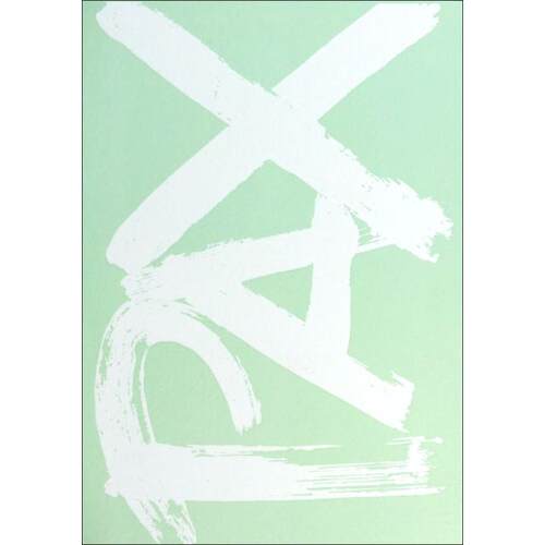 正版包邮//少年白-飘到白举纲的方向