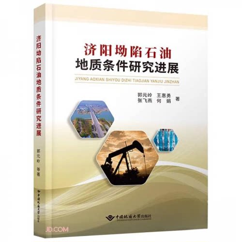 正版包邮//济阳坳陷石油地质条件研究进展
