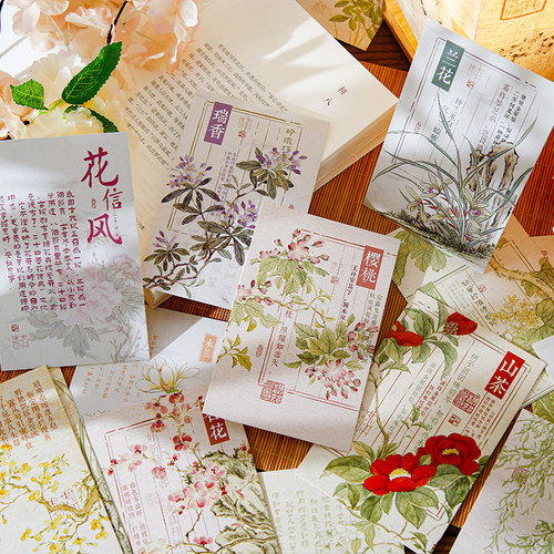 30张明信片花信风植物手绘插画