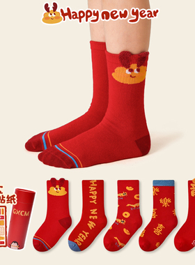 2024龙的传人童袜龙年红色儿童袜子个性卡通本命年好运贴纸礼盒装