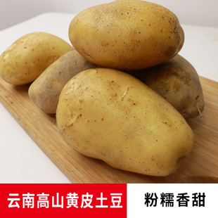 现挖 云南黄皮黄心土豆新鲜沙地洋芋马铃薯蔬菜当季