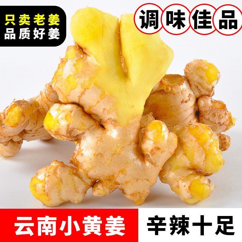 江江的姜云南高原小黄姜1/3/5/9斤蔬菜姜味浓郁辛辣十足老姜生姜